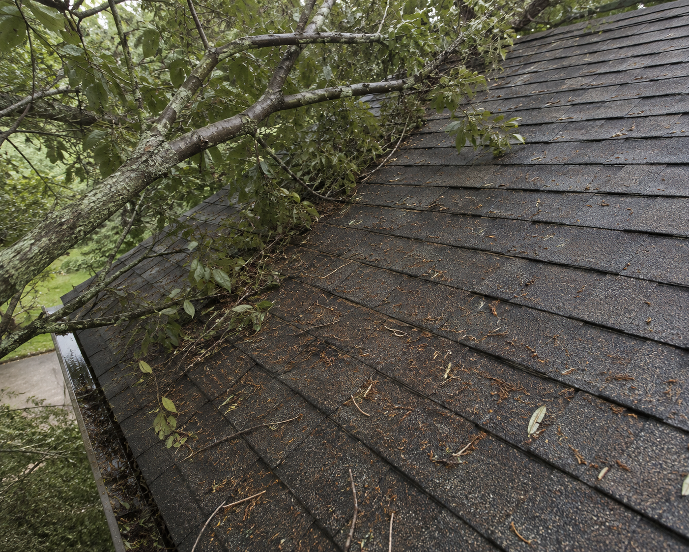 Roof maintenance checklist item: overhanging tree branches and debris on an asphalt shingle roof